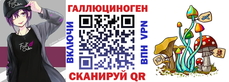 Галлюциногенные грибы Psilocybine cubensis  Щигры 