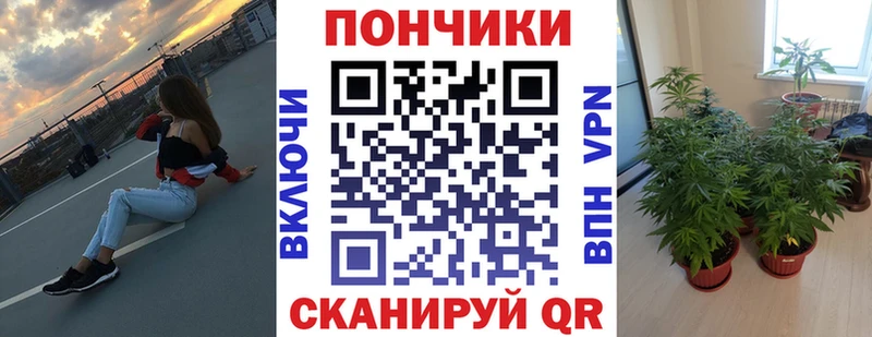 купить наркотики сайты  Щигры  Бошки Шишки OG Kush 
